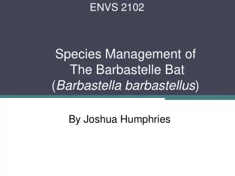 The Barbastelle Bat ( Barbastella barbastellus )  By Joshua Humphries  What is the Barbastelle?