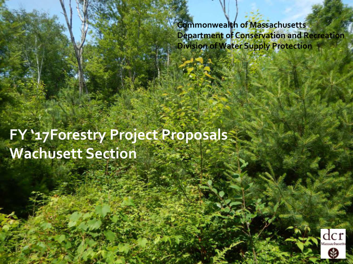 fy 17forestry project proposals wachusett section