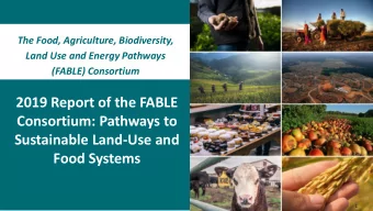 2019 Report of the FABLE  Consortium: Pathways to  Sustainable Land-Use and  Food Systems  0  1 The