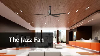 The Jazz Fan  Jazz Overview  Maximum 10 in diameter     Six Standard Colors ( with