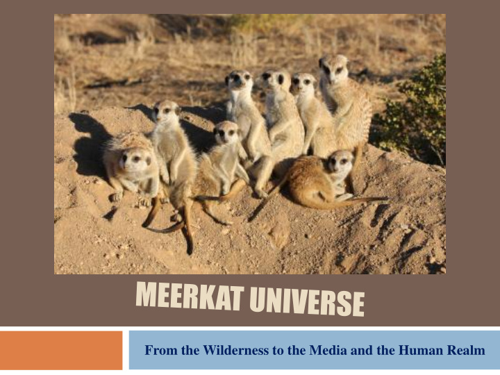 from the wilderness to the media and the human realm
