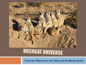 From the Wilderness to the Media and the Human Realm  Welcome  Project Goal  With this project, my