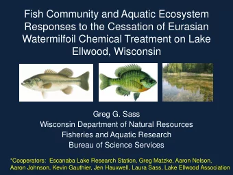 Fish Community and Aquatic Ecosystem  Responses to the Cessation of Eurasian  Watermilfoil Chemical