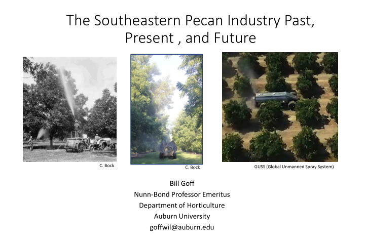 the southeastern pecan industry past present and future