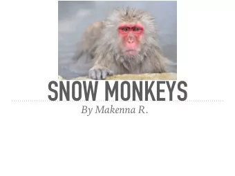 SNOW MONKEYS  By Makenna R.  When the  baby is born it is in babyhood then adulthood.It takes 4 to
