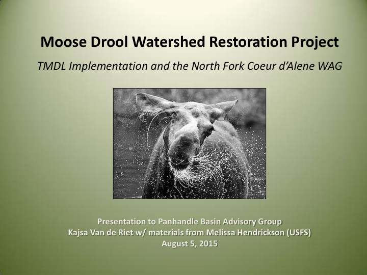 moose drool watershed restoration project
