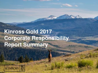 Report Summary  2017 Corporate Responsibility Report Summary  August 1, 2018  About the CR Report