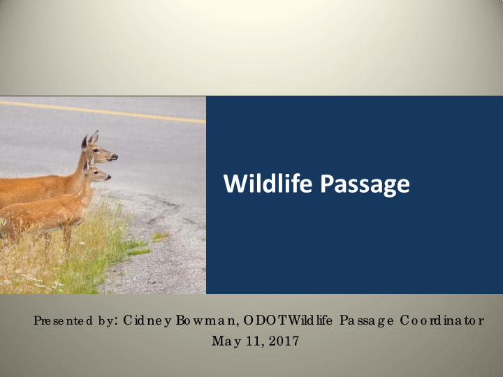 wildlife passage