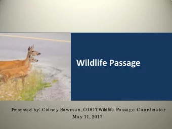 Wildlife Passage Pre se nte d b y : Cidne y Bo wma n, ODOT  Wildlife  Pa ssa g e  Co o rdina to r