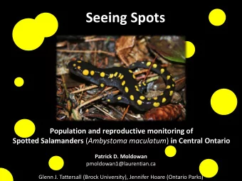 Seeing Spots  Population and reproductive monitoring of Spotted Salamanders ( Ambystoma maculatum )