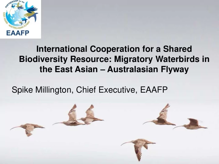 spike millington chief executive eaafp nine global