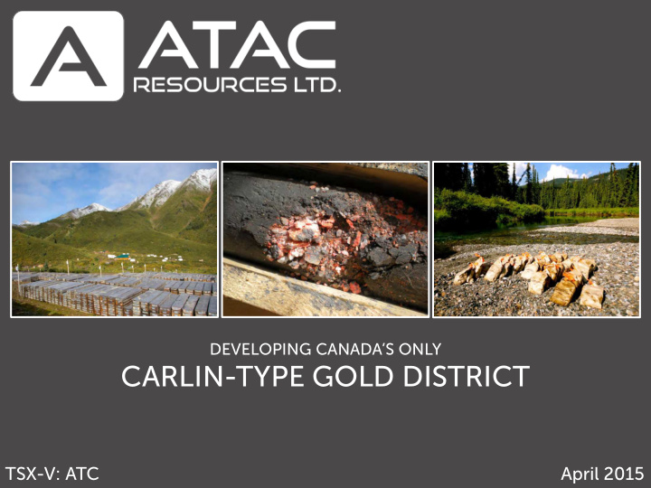 carlin type gold district