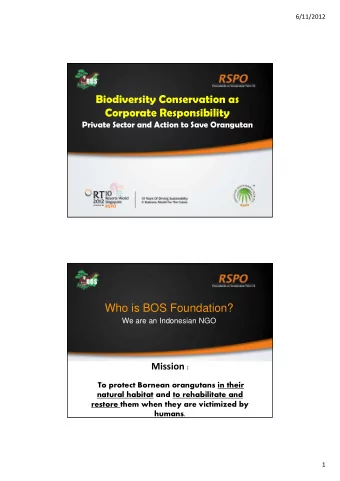 Biodiversity Conservation as  Corporate Responsibility  Private Sector and Action to Save Orangutan