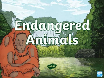 What Is an Endangered Species? An endangered species is a group  (population)  of plants, animals