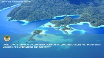 DIRECTORATE GENERAL OF CONSERVATION FOR NATURAL RESOURCES AND ECOSYSTEM  MINISTRY OF ENVIRONMENT