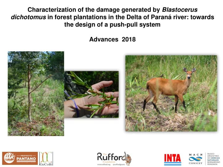 dichotomus in forest plantations in the delta of paran