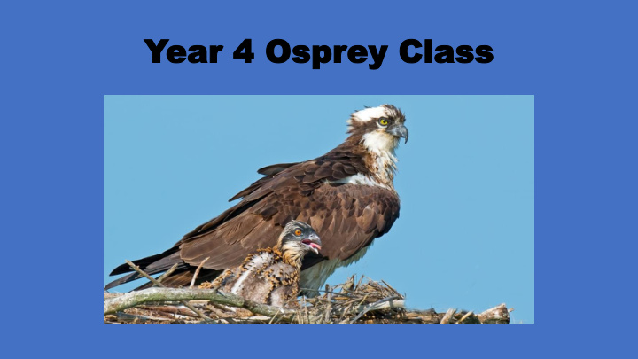 year 4 ospr ear 4 osprey class ey class