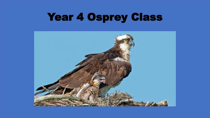 year 4 ospr ear 4 osprey class ey class