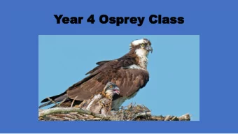 Year 4 Ospr  ear 4 Osprey Class  ey Class  VISION  VISION  GROW  LEARN  PERSEVERE  SUCCEED  VAL