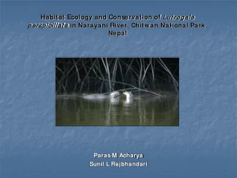 rspicillat a in Narayani River, Chitwan National Park,  Nepal  Paras M Acharya  Sunil L Rajbhandari