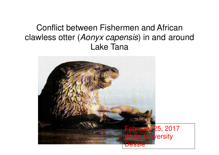 conflict between fishermen and african clawless otter