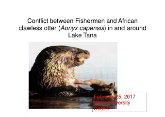 Conflict between Fishermen and African clawless otter ( Aonyx capensis ) in and around  Lake Tana F