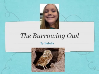 The Burrowing Owl  By:Isabella  The burrowing owl lives in underground burrows  in deserts.  The