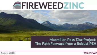 The Path Forward from a Robust PEA  August 2018  TSX-V:FWZ  Cautionary Statements  The following