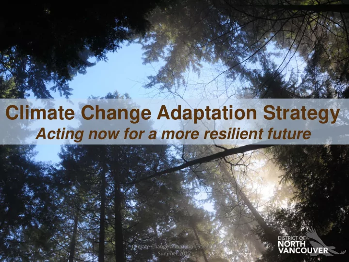 climate change adaptation strategy