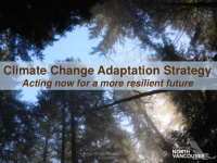 climate change adaptation strategy
