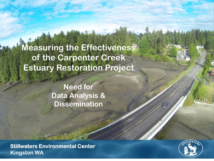 estuary restoration project