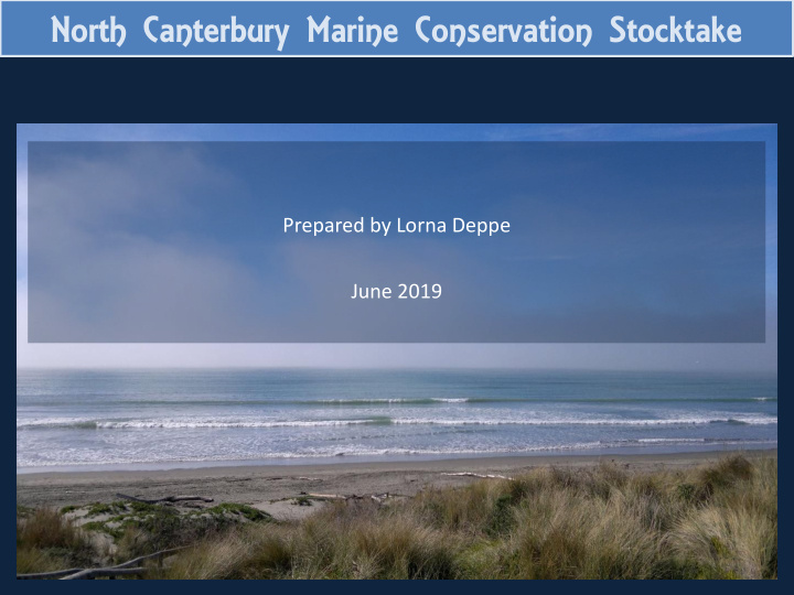 north canterbury marine conservation stocktake
