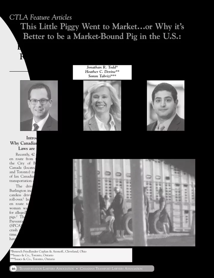 this little piggy went to market or why it s better to be