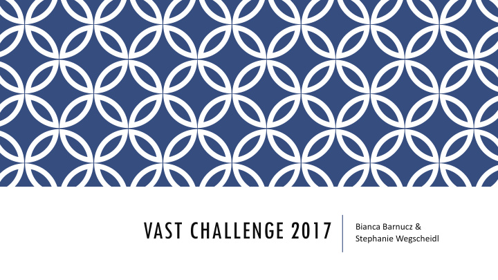 vast challenge 2017