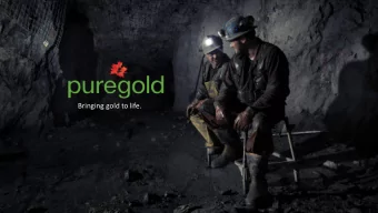 Bringing gold to life.  1  Pure Gold Mining  FORWARD LOOKING STATEMENTS This Presentation contains