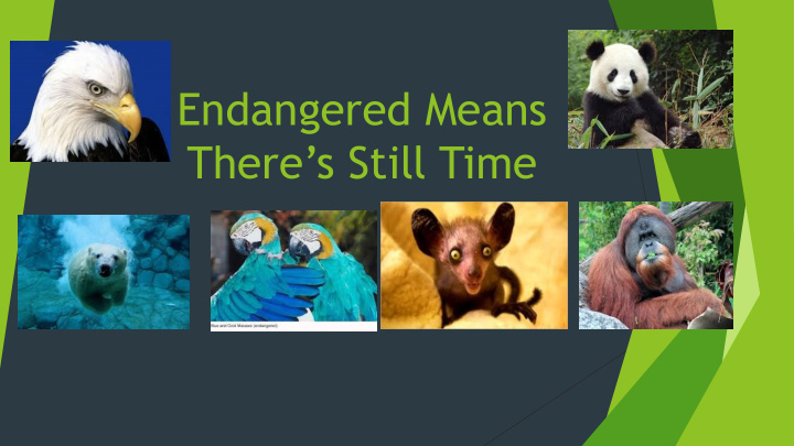 endangered means