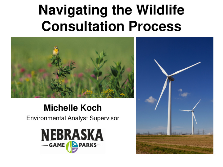 navigating the wildlife consultation process