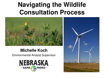 Navigating the Wildlife  Consultation Process  Michelle Koch  Environmental Analyst Supervisor