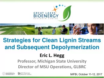 and Subsequent Depolymerization  Eric L. Hegg  Professor, Michigan State University  Director of