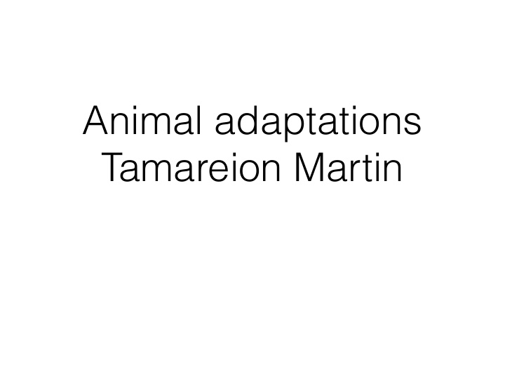 animal adaptations tamareion martin what are adaptations