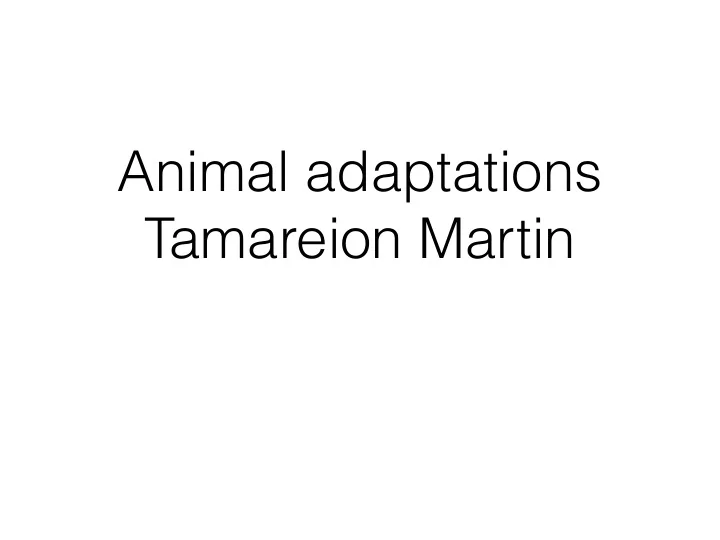 animal adaptations tamareion martin what are adaptations