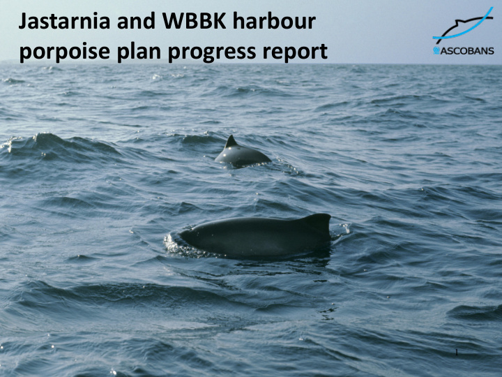jastarnia and wbbk harbour porpoise plan progress report