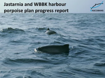 Jastarnia and WBBK harbour  porpoise plan progress report  1  Implementation and progress of the JP