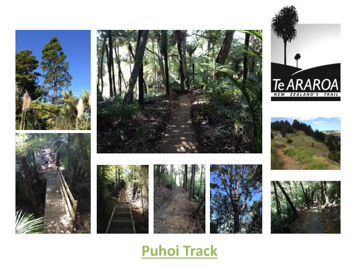 puhoi track what is te araroa