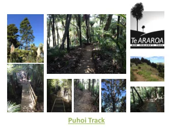 Puhoi Track  What is Te Araroa? New Zealands Trail  Te Araroa is New Zealands only  long