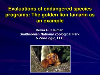 Evaluations of endangered species  Evaluations of endangered species  programs: The golden lion