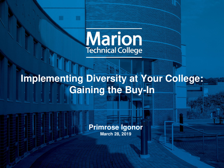 implementing diversity at your college