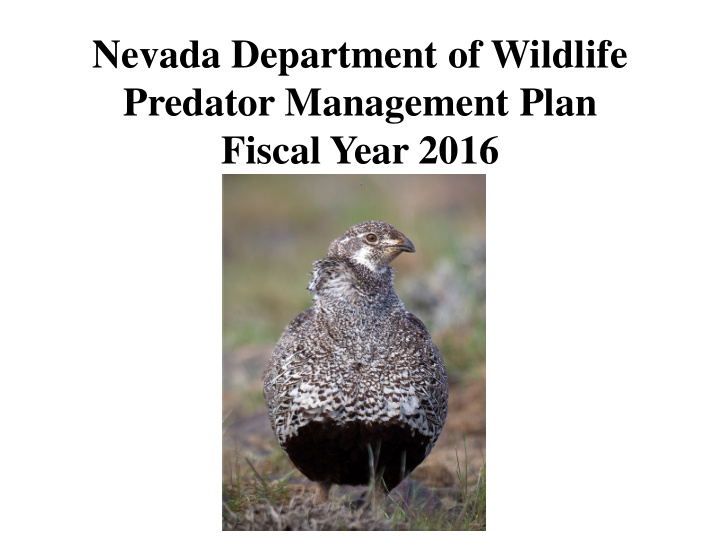 nevada department of wildlife predator management plan
