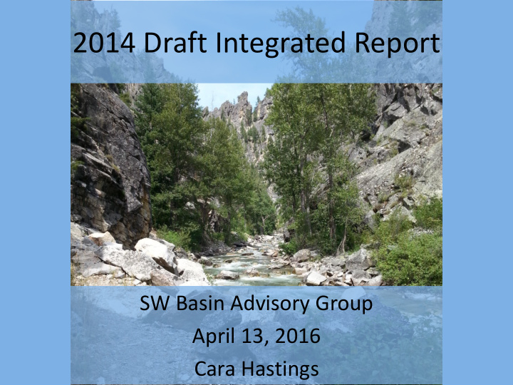 2014 draft integrated report