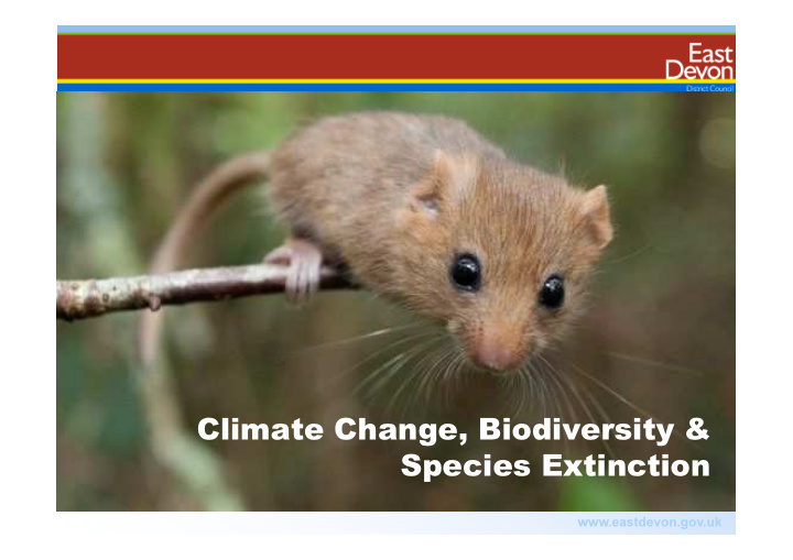 climate change biodiversity species extinction